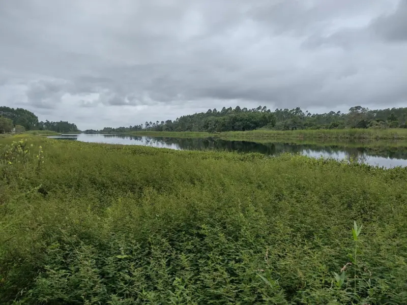 WhatsApp-Image-2023-04-13-at-08.59.40-2