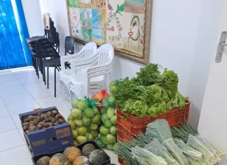 CRAS de Balneário Gaivota é o primeiro a receber recursos do Programa Alimenta Brasil