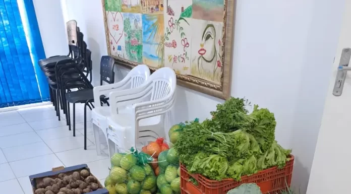 CRAS de Balneário Gaivota é o primeiro a receber recursos do Programa Alimenta Brasil