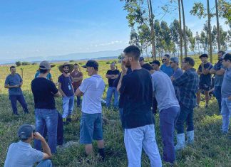 Produtores de gado de participam da segunda etapa de curso