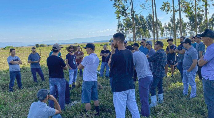 Produtores de gado de participam da segunda etapa de curso