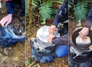 Investigação da Polícia Civil apreende entorpecentes e prende homem por tráfico de drogas