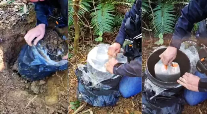Investigação da Polícia Civil apreende entorpecentes e prende homem por tráfico de drogas