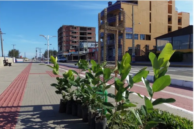 WhatsApp-Image-2023-06-01-at-15.57.49