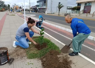 Balneário Gaivota: Replantio de árvores é destaque no Dia do Meio Ambiente