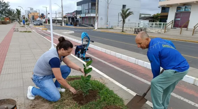 Balneário Gaivota: Replantio de árvores é destaque no Dia do Meio Ambiente