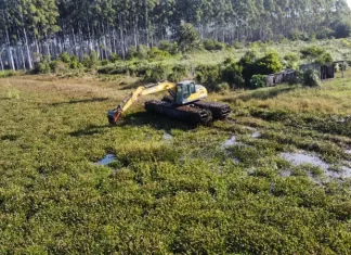 Balneário Gaivota inicia limpeza das lagoas