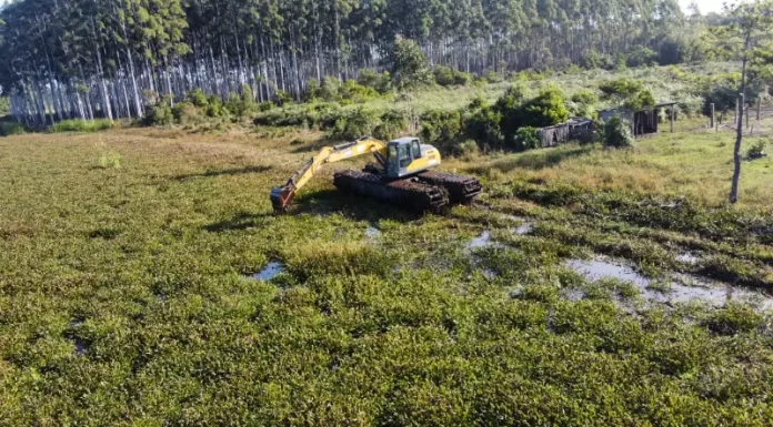 Balneário Gaivota inicia limpeza das lagoas