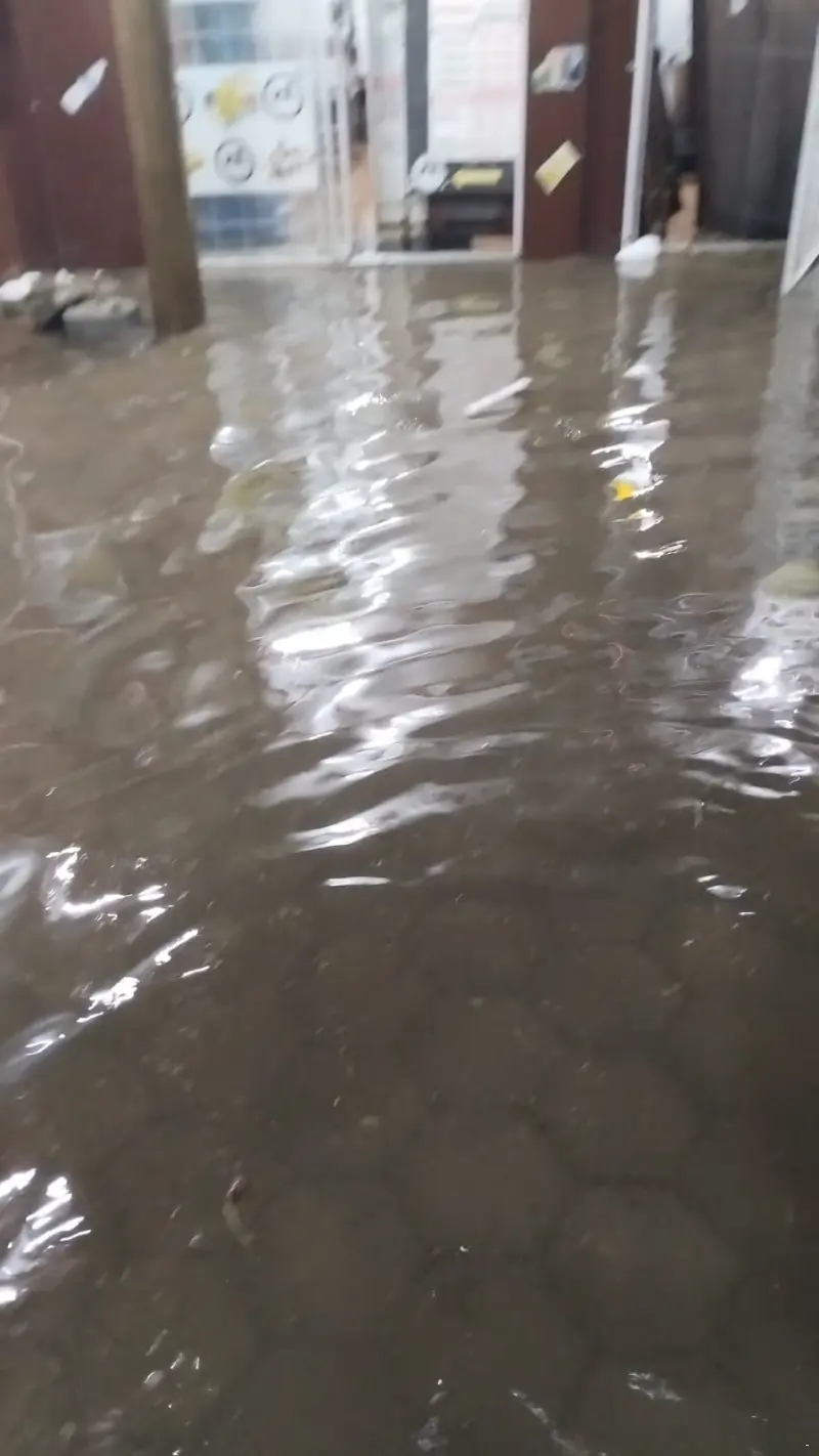 WhatsApp Image 2023-06-15 at 19.06.33