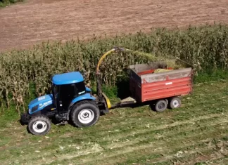 Pequenos produtores sombrienses contam com auxílio para a safrinha
