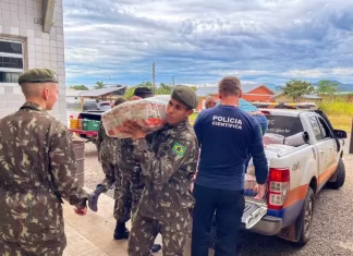 Praia Grande recebeu doações da Cruz Vermelha
