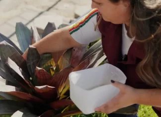 Prefeitura de Sombrio lança vídeo com dicas de combate à dengue
