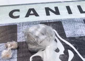 Polícia Militar de Araranguá apreende drogas com auxílio do canil do 19º Batalhão