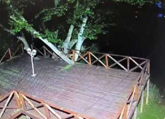 Vândalos danificam câmera da ponte pênsil do bairro Barranca; PM está analisando outras câmeras que flagraram a ação