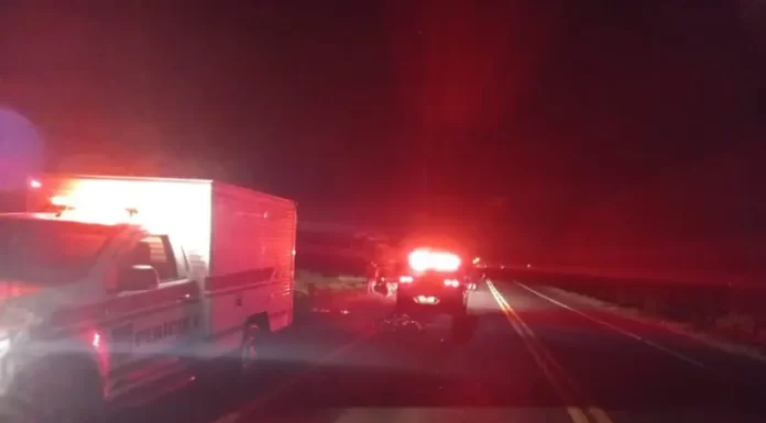 Pedestre morre atropelada na BR 101, no bairro Barranca