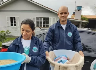 Tartaruga atropelada se recupera com atendimento da EDUCAMAR