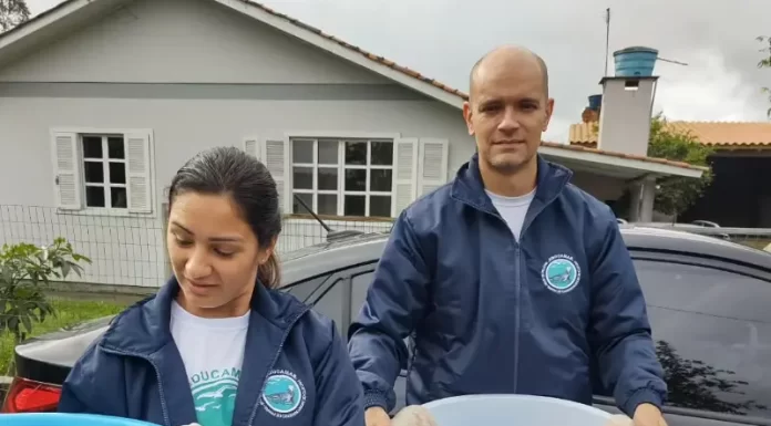Tartaruga atropelada se recupera com atendimento da EDUCAMAR