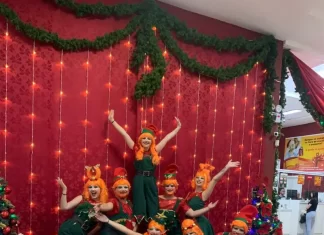 Sombrio muito bem representado no Festival de Dança de Joinville