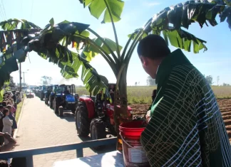 Sombrio encerra Semana da Agricultura Familiar na Agrofest
