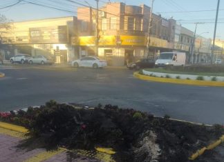 Floreira do canteiro central da Avenida 7 de Setembro é destruído