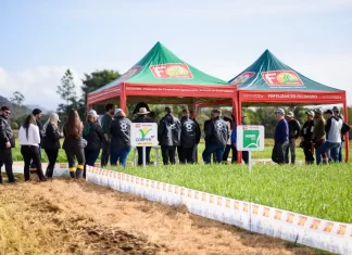 Cooperja prepara 2ª edição de seu Campo de Inverno