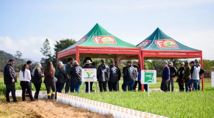 Cooperja prepara 2ª edição de seu Campo de Inverno