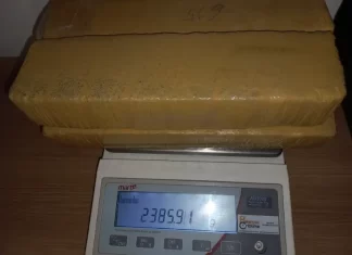 Cachorro policial auxilia na apreensão de mais de dois quilos de maconha em Ararangua