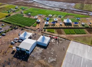 Grande participação em mais uma edição do campo de inverno da Cooperja