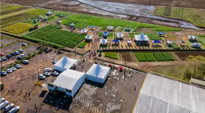 Grande participação em mais uma edição do campo de inverno da Cooperja