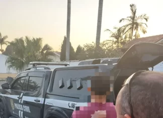 Polícia Civil prende traficante de drogas em Capivari de Baixo