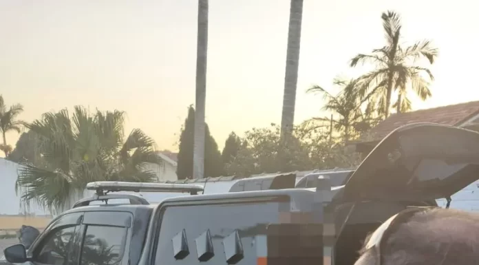 Polícia Civil prende traficante de drogas em Capivari de Baixo