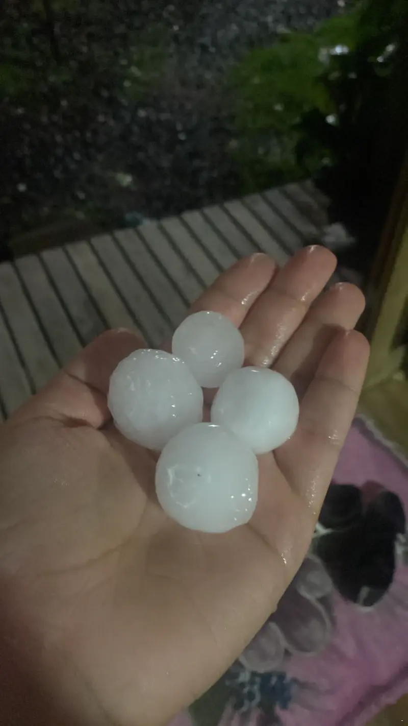 WhatsApp-Image-2023-08-24-at-11.03.09