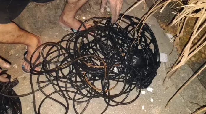 Bandidos voltam a gerar prejuízo com furto de fios da rede elétrica em Balneário Gaivota