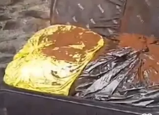 PRF apreende “Supermaconha” em Sombrio