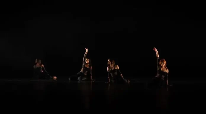 Escola de dança Vidativa brilha no 15° Festival Santa Catarina Dança