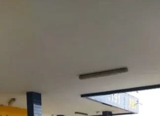 Caminhonete furtada em SP é recuperada na BR 101 em Araranguá