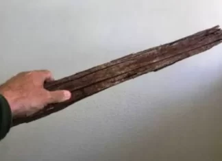 Mulher com pedaço de madeira impede assalto e põe bandidos para correr em Balneário Gaivota