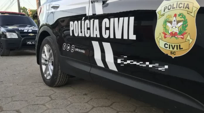 Polícia Civil de Turvo prende autor de homicídio