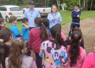 Em parceria com escolas, Cooperja incentiva plantio de mudas de árvores