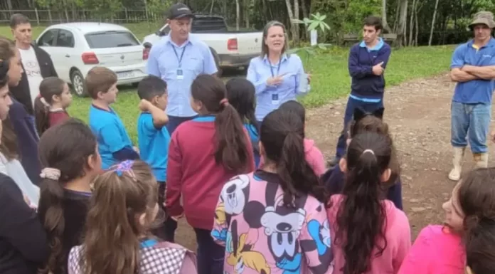 Em parceria com escolas, Cooperja incentiva plantio de mudas de árvores