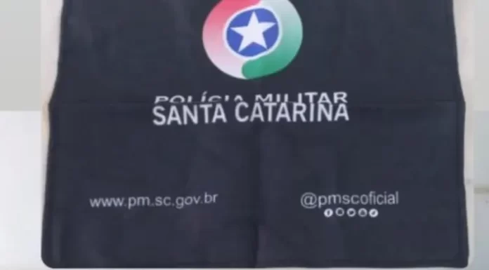 Polícia Militar apreende armas e munições em caso de violência doméstica