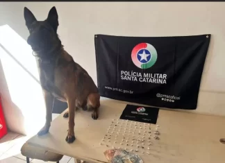 Apreensão de drogas e dinheiro na Favela do Ucca resulta em prisão por tráfico