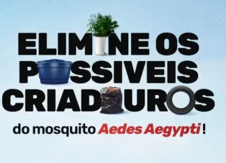 Gaivota promove Ação contra o mosquito da Dengue