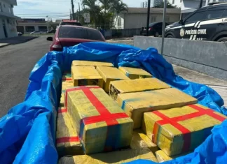 PRF Araranguá apreende mais de meia tonelada de maconha
