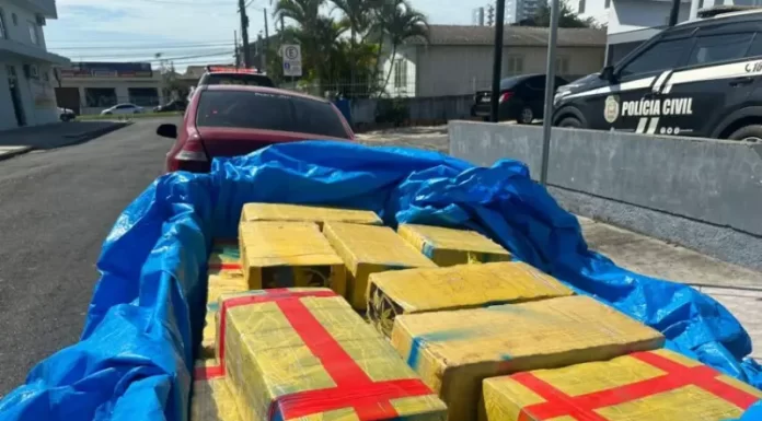 PRF Araranguá apreende mais de meia tonelada de maconha