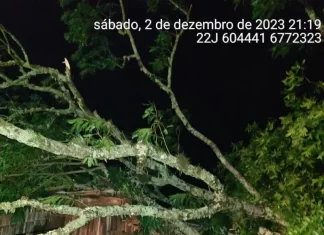 Tornado causa estrago e deixa desalojados em Praia Grande
