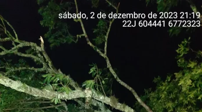 Tornado causa estrago e deixa desalojados em Praia Grande