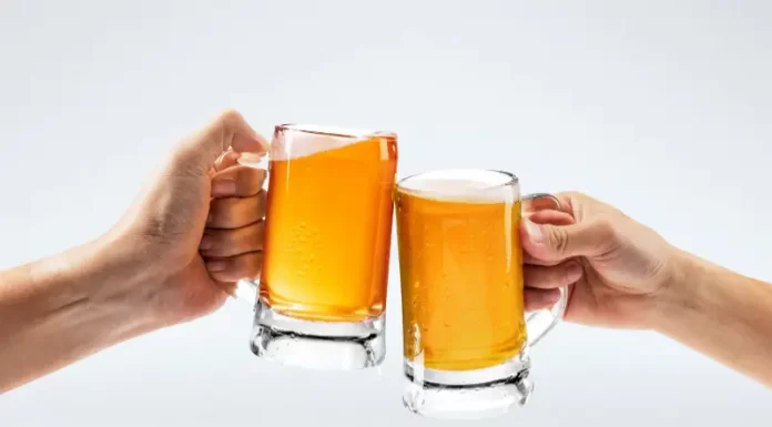 Natal dos Canyons terá Festival de Cerveja Artesanal neste final de semana