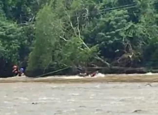 Bombeiros e Saer Sarasul realizam operação de resgate em Praia Grande