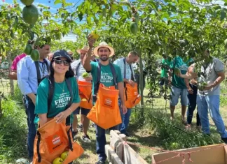 Cooperja participa da VI abertura da colheita do maracujá de SC